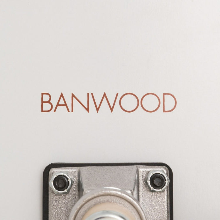 BANWOOD. Skateboard White