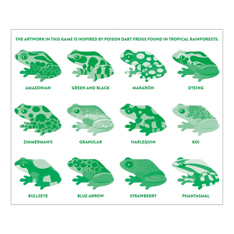 MUDPUPPY. Shaped Memory Match - Tropical Frogs