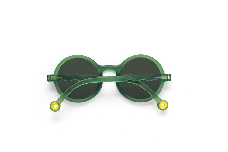 OLIVIO & CO. Adult oval sunglasses - Terracotta Olive Green